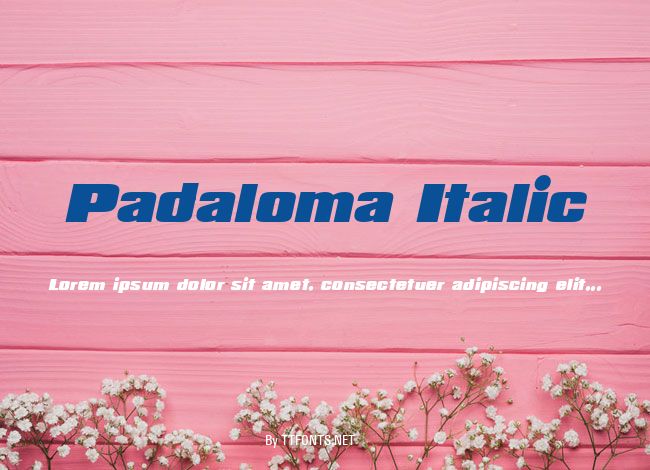 Padaloma Italic example